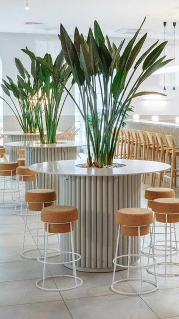 Revestimento para espaços Biophilic Design